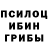 Галлюциногенные грибы мицелий Qirim tat