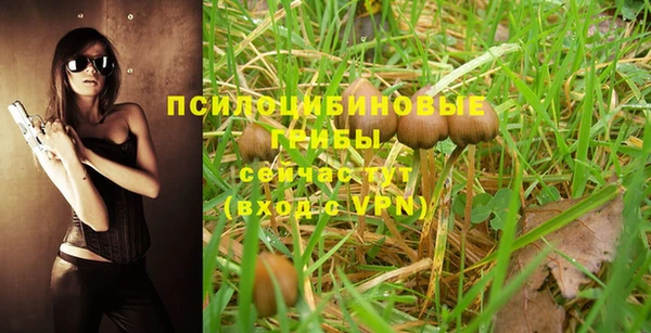 ГАЛЛЮЦИНОГЕННЫЕ ГРИБЫ Дмитровск