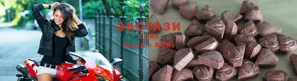 стаф Дмитриев