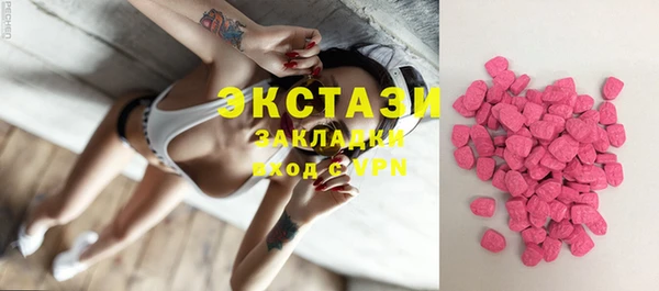 стаф Дмитриев