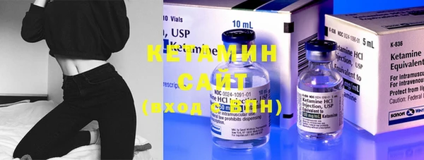 стаф Дмитриев