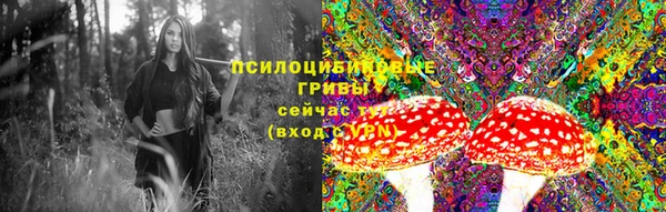 стаф Дмитриев