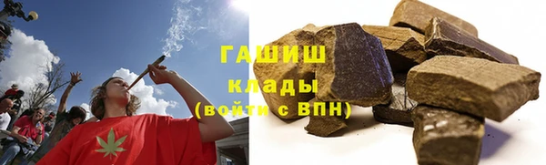 стаф Дмитриев