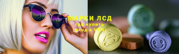 стаф Дмитриев