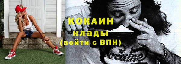 ГАЛЛЮЦИНОГЕННЫЕ ГРИБЫ Дмитровск