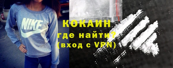 стаф Дмитриев