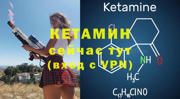 стаф Дмитриев