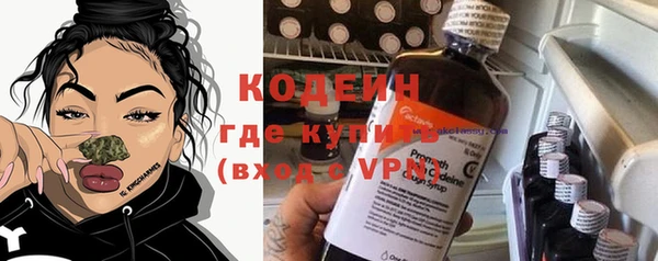 стаф Дмитриев