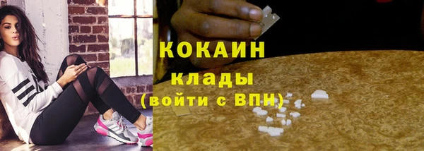 стаф Дмитриев